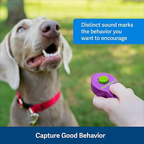 PetSafe Clik-R Dog Training Clicker