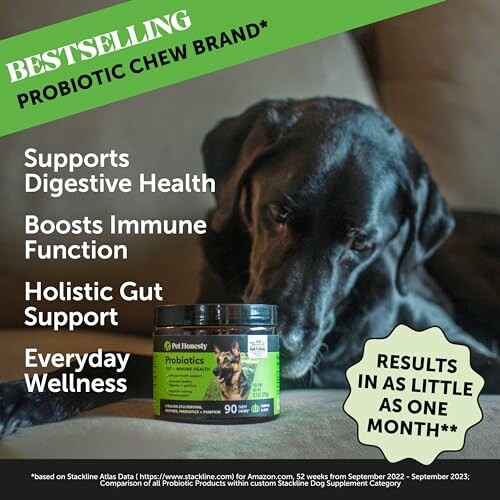 Pet Honesty Probiotics for Dogs