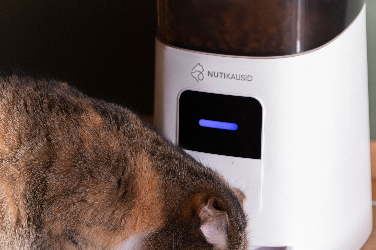 automatic cat feeder hopper with dry kibble