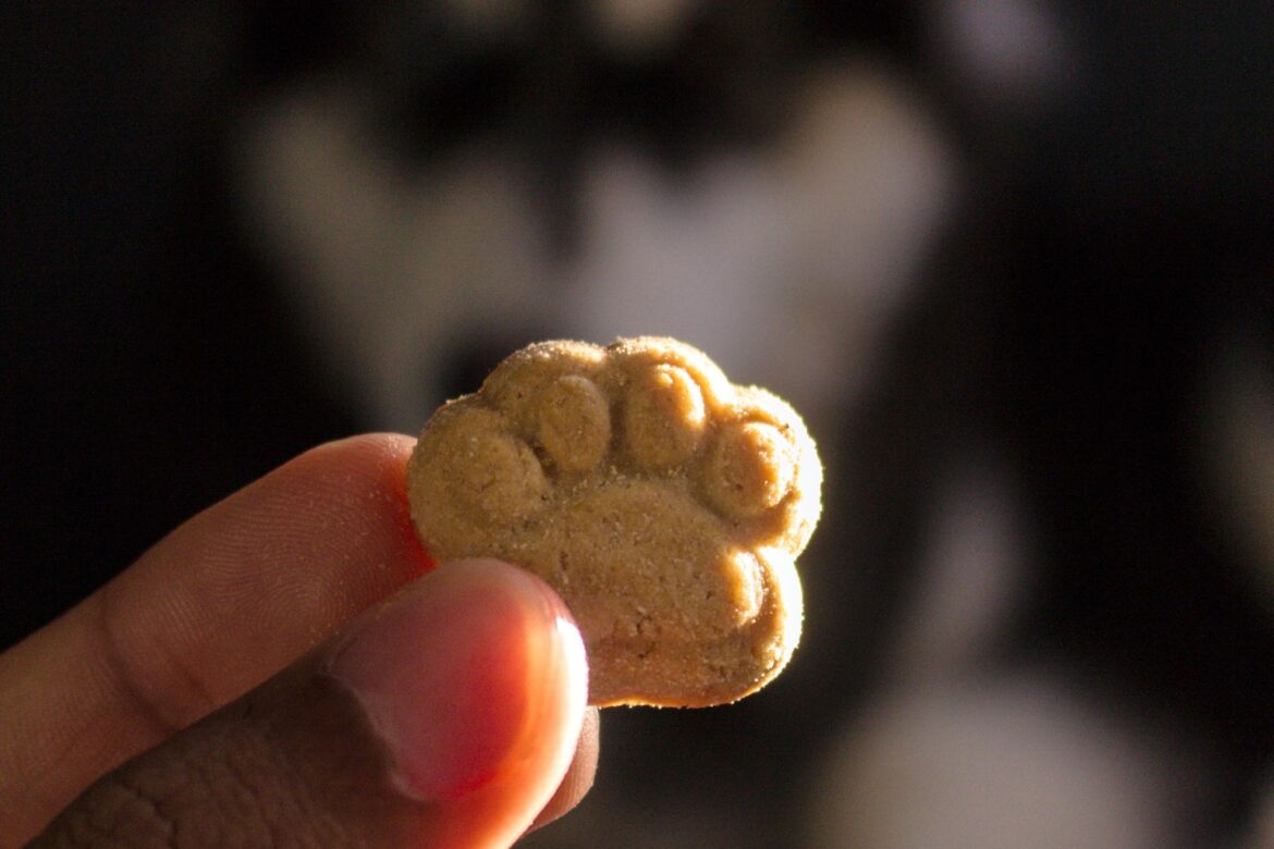 best calming treats for dogs