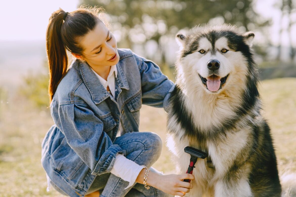 how to prevent pet hair
