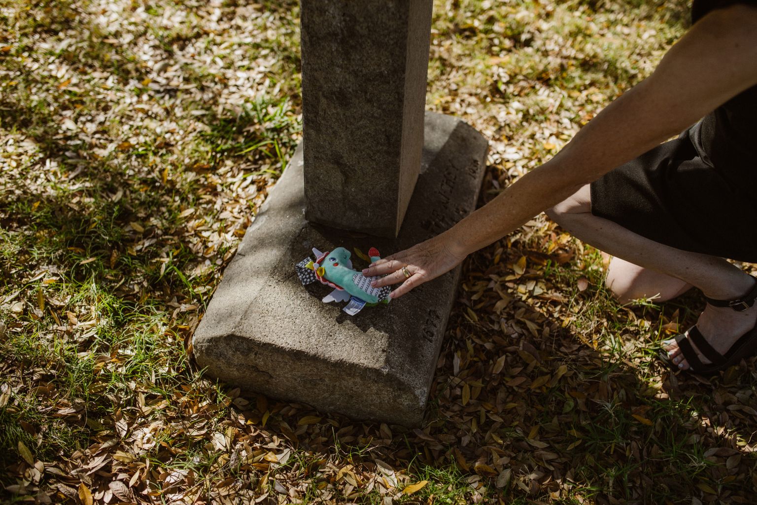 Placing a toy on a grave while weighing pet cremation vs burial