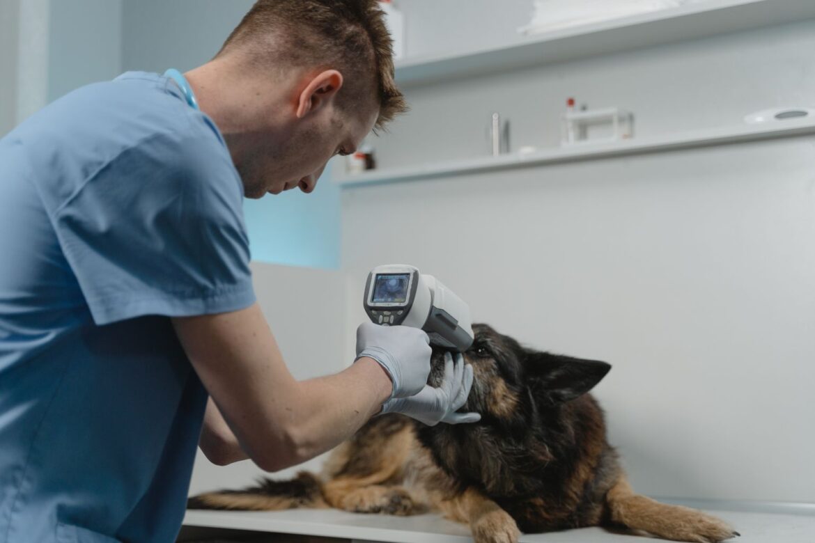 pet microchipping
