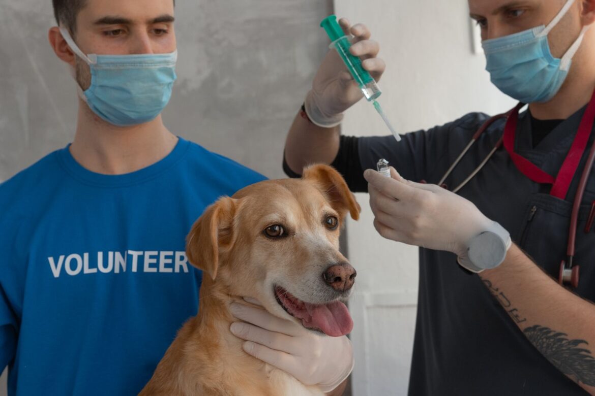 pet vaccinations