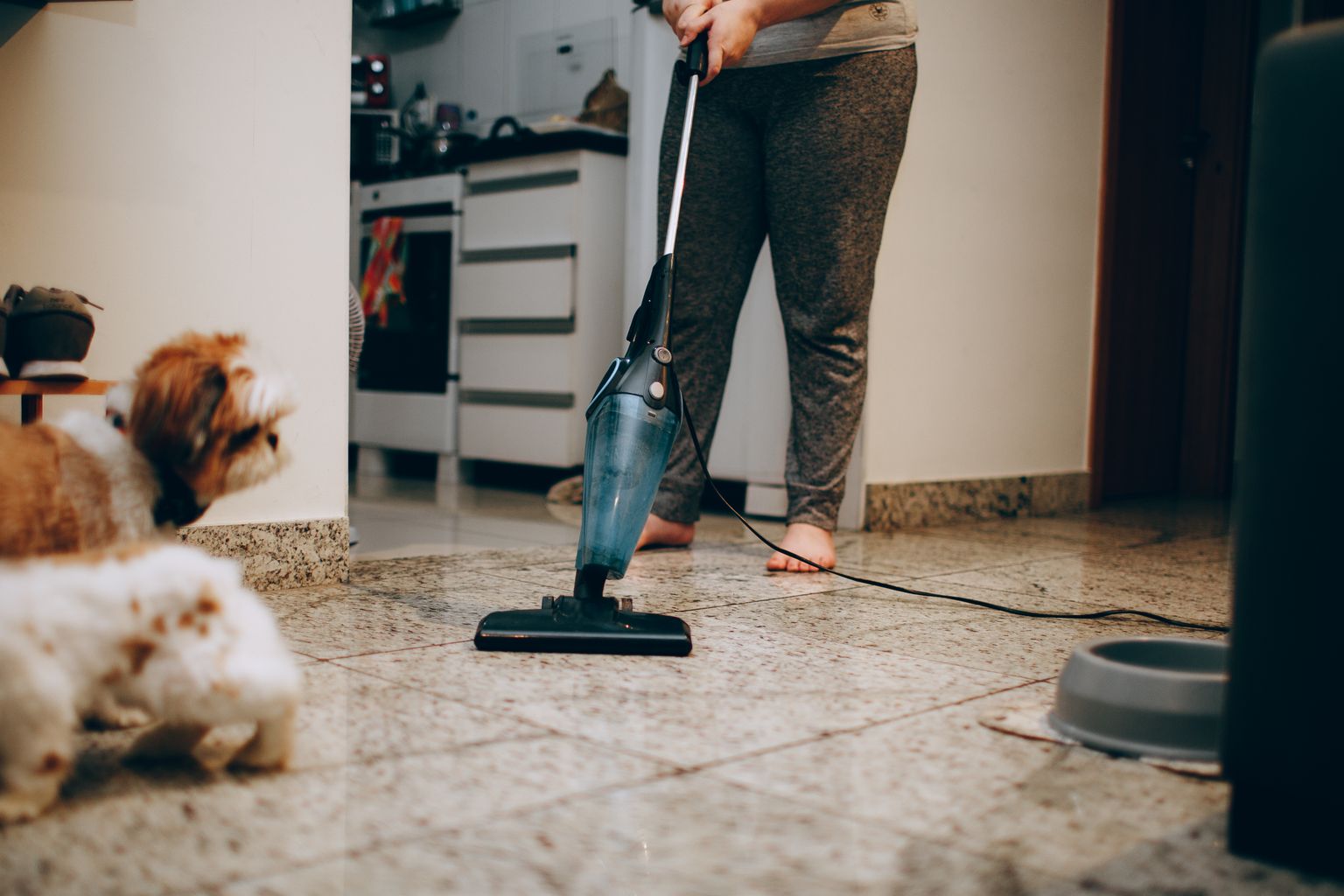 Vacuuming dog hair off the floor while the dog watches